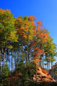 切尔西再次胜门兴格拉德巴赫，晋级欧冠半决赛，伊涅斯塔梅开二度