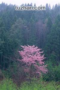 埃弗顿前锋发挥出色，创造进球机会