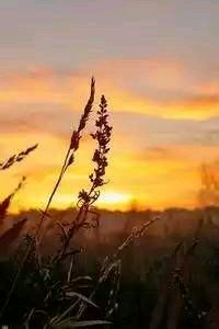 阿斯顿维拉年轻新秀闪耀，成为球队希望