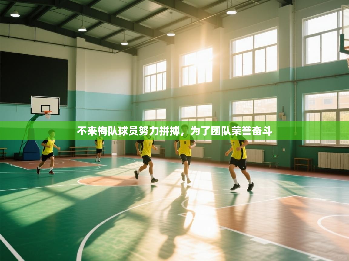 不来梅队球员努力拼搏，为了团队荣誉奋斗