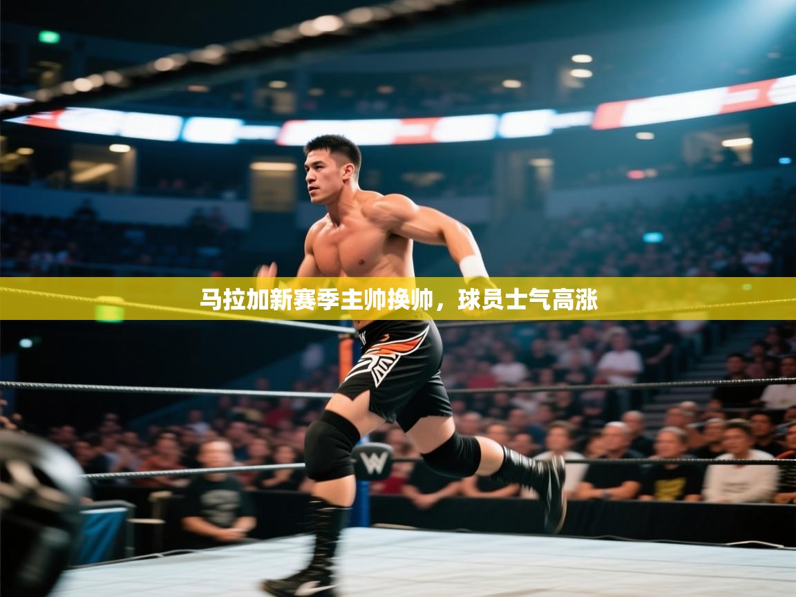 马拉加新赛季主帅换帅，球员士气高涨  第1张