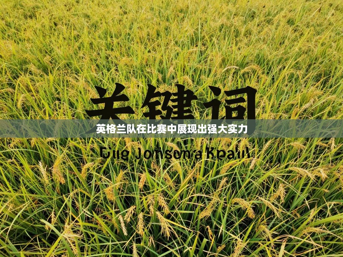 英格兰队在比赛中展现出强大实力 第1张